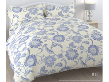 ������ 817.jpg