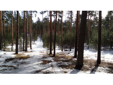 IMG 20180408 100228.jpg