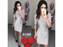 ������ 01309