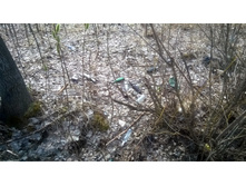 WP 20180425 13 29 00 Pro.jpg