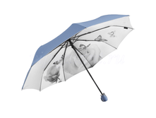 Zont-zhenskiy-832-diniya-3-slozh-s-a-tsvety-vnutri-serebro 10.png