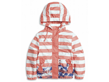 GZIN3015 �������� ��� �������.png