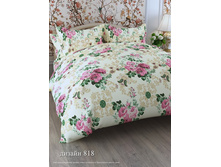 ��������� 818.jpg