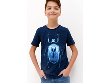 20110110096   Ramires   �����.jpg