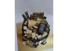 � ����������