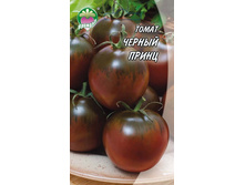 ������ �����