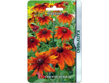 �������� ��������. 50 ���.jpg