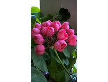 WP 20180405 17 01 03 Pro.jpg