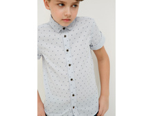 20110290029   Howler   �������.jpg