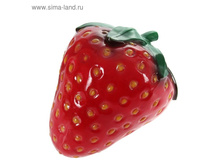 ������� ������ "��������"