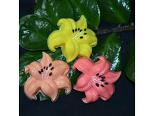 60 ���. 1 ��.