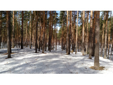 IMG 20180408 095107.jpg