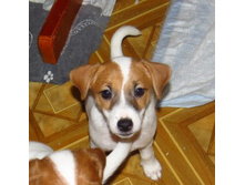 Snap 2018.04.26 21.51.11 002.jpg