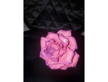 ��������� 150 �