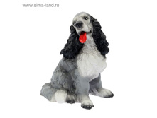 ������� ������ "��������" �����, 34 ��