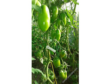 ��������� ��������.jpeg