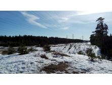 IMG 20180408 083741.jpg