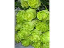 ����� (LIMBO).jpg