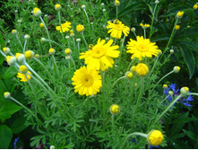 �������.