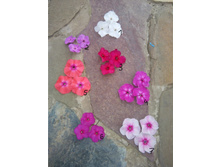 ������ �� 70 �.