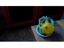 �� �����(7 ���)