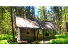 P 20180526 103107-01.jpeg