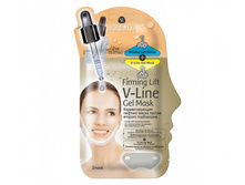 �������������� �������-����� ������ ������� ���������� SL-266