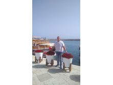 IMG 20180505 155100.jpg