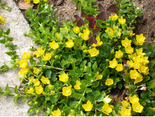 ��������� ����������