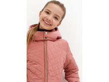 20240610006   Zimia   ������-�������(������).jpg