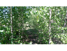 IMG 20180521 133656.jpg