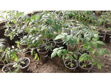 ������� �� 07.05.18