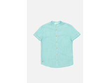 20110290033   Nemo   �������(���).jpg