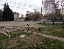 IMG 20180506 174143.jpg