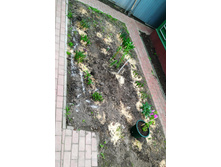 IMG 20180506 121459.jpg