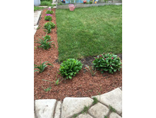 ����� ������ ������