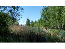 IMG 20180521 131934.jpg