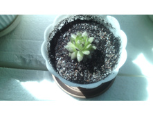 IMG 20141224 191501.jpg