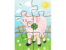 ���� 6 ��������� «���������� ��������» �������: IG0076 - 32 ���.