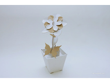 ������� �� ������� "������� ���� - ������", ��� CD-FlOWER-W,���� 350 ���.jpg