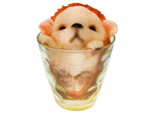 Camelion SG-145 ���� � ���������� ��-� �� ����.������� 1LED 2700K, ���������� ������ 389,00.jpg