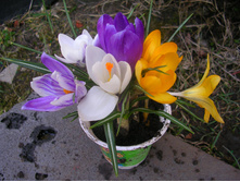 ������ (��� �������)