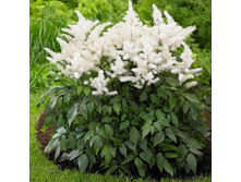 �������� �����. ���� �� �����.