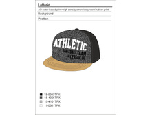 20116400029   Lattario   �������.jpg