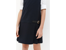 20240200026   Helenium   �����-�����(������).jpg