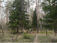 IMG 20180501 082355.jpg