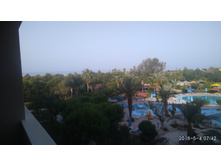 IMG 20180504 074238.jpg