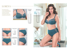 Cat-florange-2018-01 07.jpg