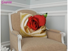 ����������� ������� ����, 3047.jpg