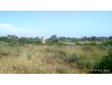 IMG 20180507 152311 HDR.jpg